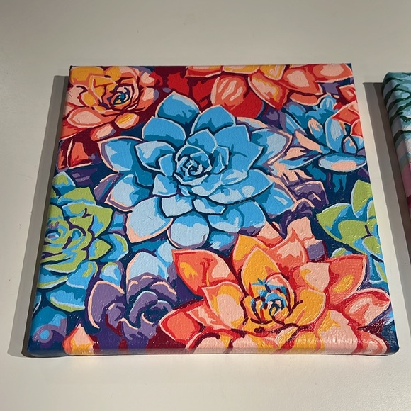 Colorful Succulents Pictures - Picture 2 of 3